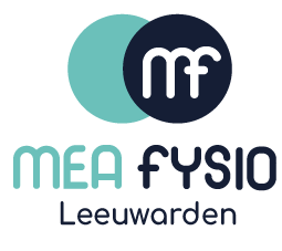 meafysio Leeuwarden logo